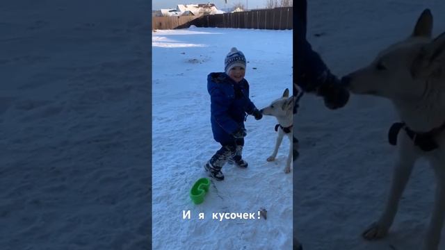 Сосульки только собакам? смотреть онлайн