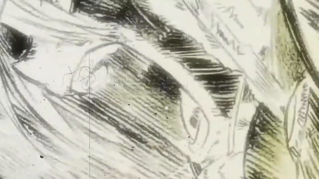 Anime Amw - Neffex Destiny