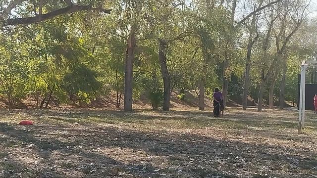 2.  выражено/перв ЦОЙ ИЗ ДОМА КОРСУНОВЫХ (Баларис Блэк Файер – Глория Из Дома Корсуновых)