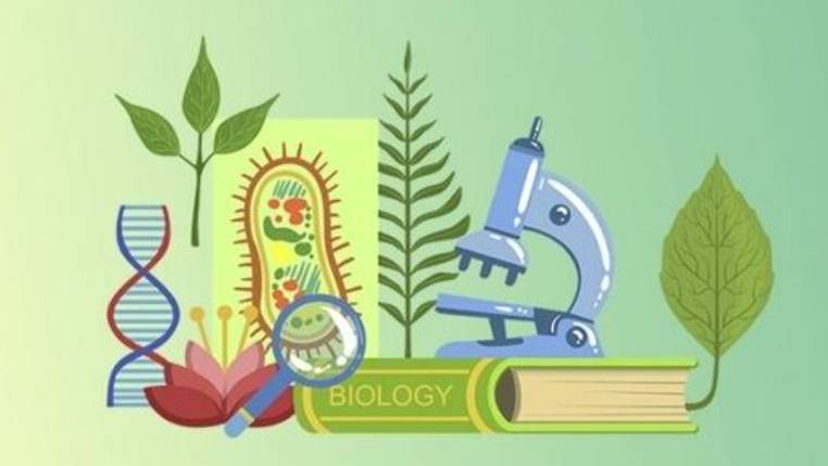 Биология 9 класс. Потоки вещества и энергии в экосистеме. -- смотреть онлайн