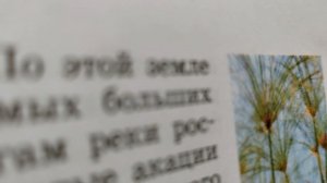 делаю уроки эстетика