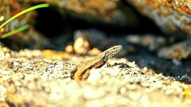 Всем доброго утра и хорошего дня! смотреть онлайн