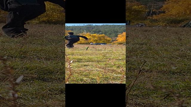 Эстафета с мячом смотреть онлайн