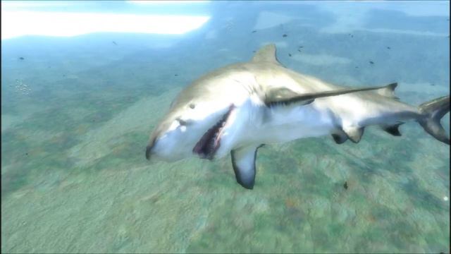 Farcry 3(ตามล่าหาไอ้หลาม!!!#01)By Pete417 смотреть онлайн