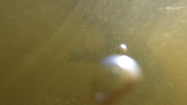GH010647 смотреть онлайн