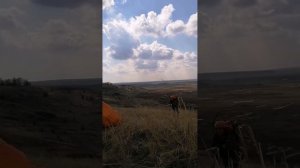 Летаем на самодельном параплане. двигатель от бензопилы.