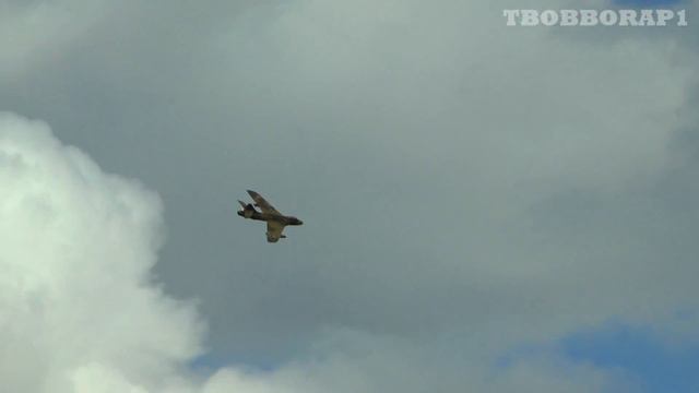 FORCED LANDING - 1:4.5 SCALE RC HAWKER HUNTER FLAME OUT SAVE - MICK AT SOUTHERN MODEL SHOW - 2017 смотреть онлайн