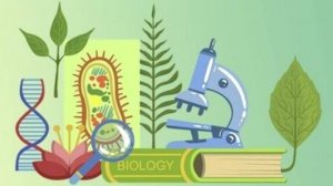 Биология 8 класс. Развитие человека.--