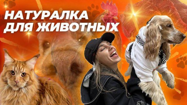 НАТУРАЛКА ЭТО ТАК ПРОСТО⁉️ КАК Я КОРМЛЮ ЖИВОТНЫХ🥩