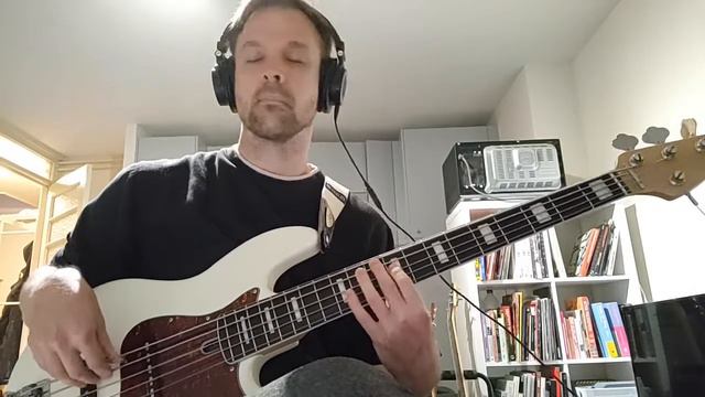 Tigran Hamasyan - Entertain Me (bass cover) смотреть онлайн