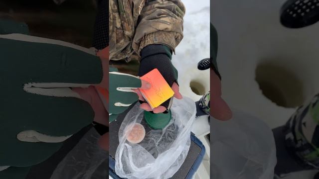 Первая рыбалка! Нас много- больше рыбы поймаем!!! смотреть онлайн