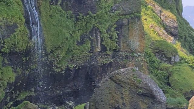 ДОТ или ДЗОТ? смотреть онлайн