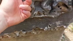 Исследователь обнаружил неопровержимые доказательства существования высокоразвитой цивилизации!