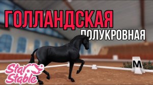 ПОКУПАЕМ ГОЛЛАНДСКУЮ ПОЛУКРОВНУЮ II Star Stable Online