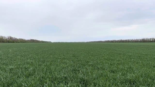 Гром 24.04.24 смотреть онлайн