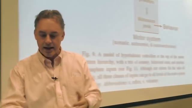 16. Личность, Биология и Черты Характера Инсентивная Награда, Нейротизм (2017) смотреть онлайн