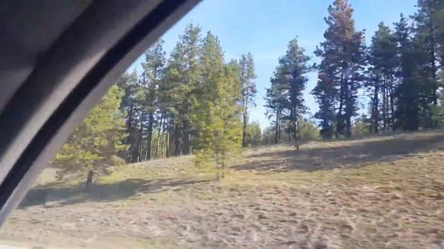 Real Life Far Cry 5 in Montana смотреть онлайн