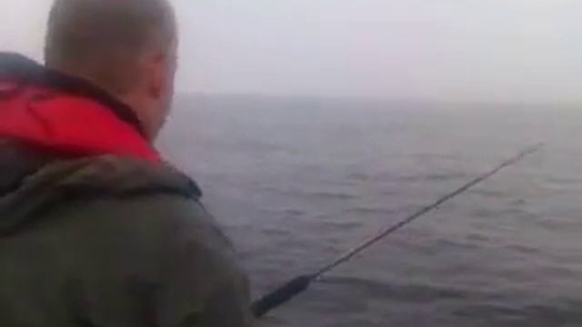 Laks смотреть онлайн