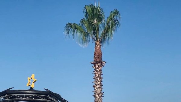 Турция Tui Magic Life Masmavi, 2019.