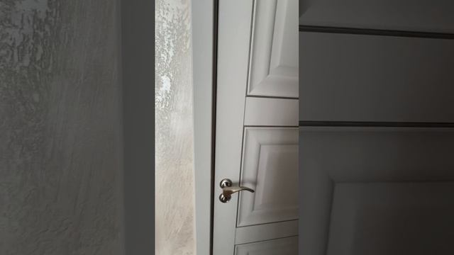 Copy_D0B2577E-9D25-4F0D-ABD2-319AE674825F