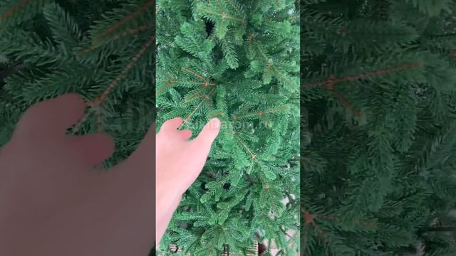 Ель Литая Таежная смотреть онлайн
