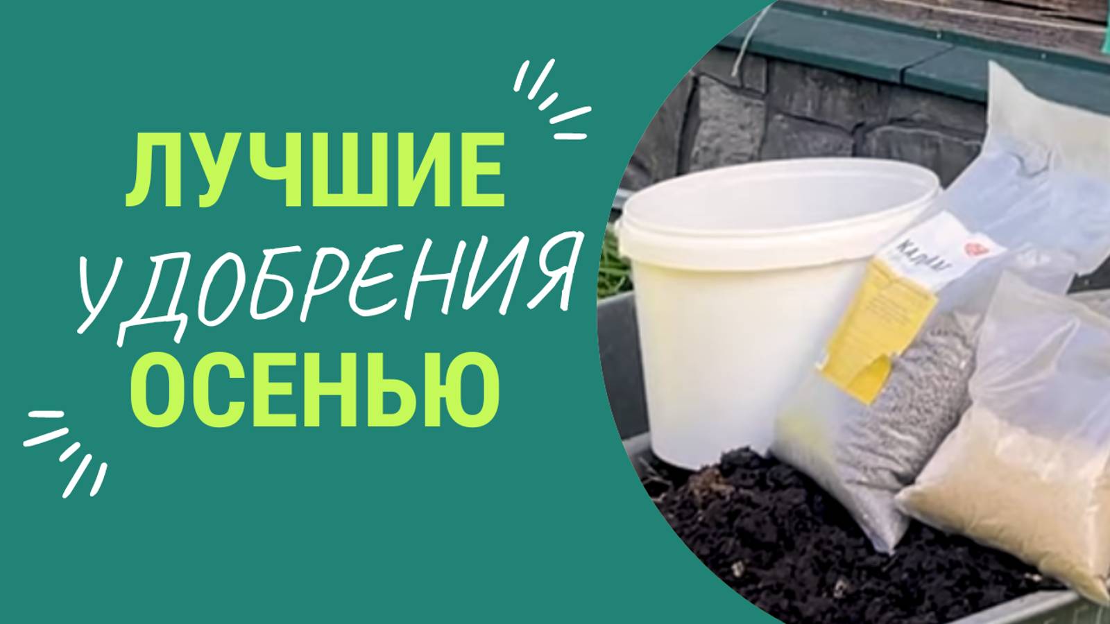 ЭТИ удобрения обязан внести каждый огородник осенью! смотреть онлайн