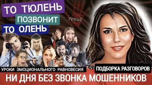 Мошенники из банков, полиции и инвестиционных проектов. Жулики всех мастей _Нюша _Антимошенники