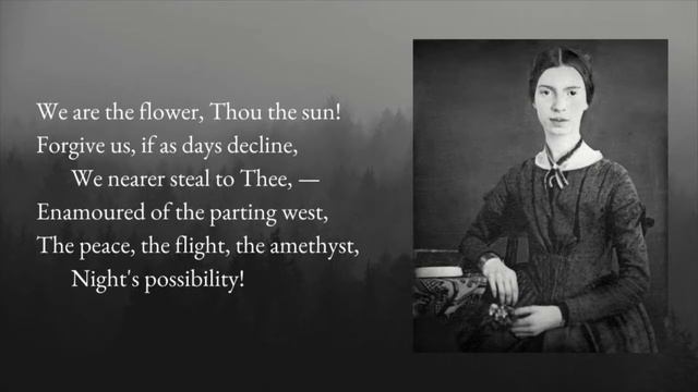 The Daisy Follows Soft The Sun by Emily Dickinson-poetry reading смотреть онлайн