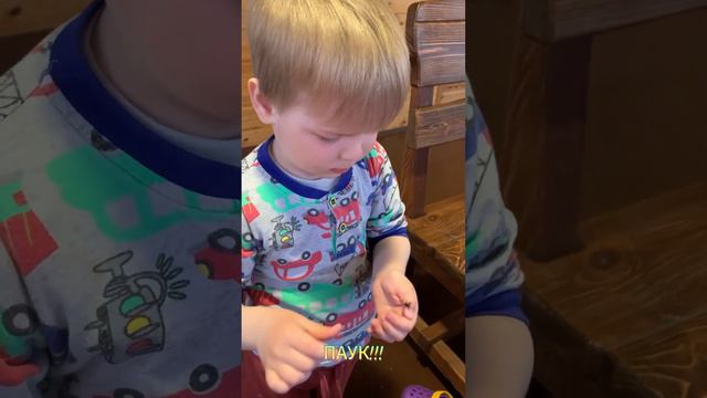 Мой паук!️ смотреть онлайн