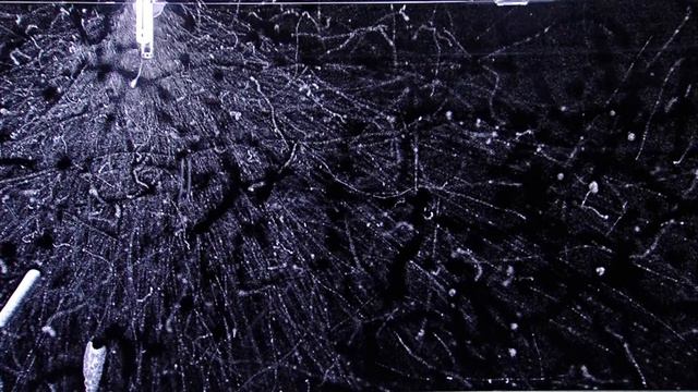 Beta particle | Wikipedia audio article смотреть онлайн