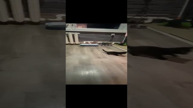 шахтёрик смотреть онлайн