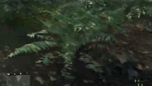 Crysis: High Graphics vs. Low Graphics смотреть онлайн