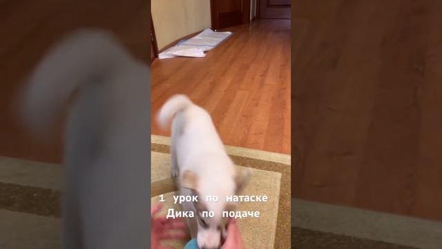 Взять! смотреть онлайн