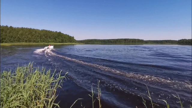 фортис 430z.mp4 смотреть онлайн