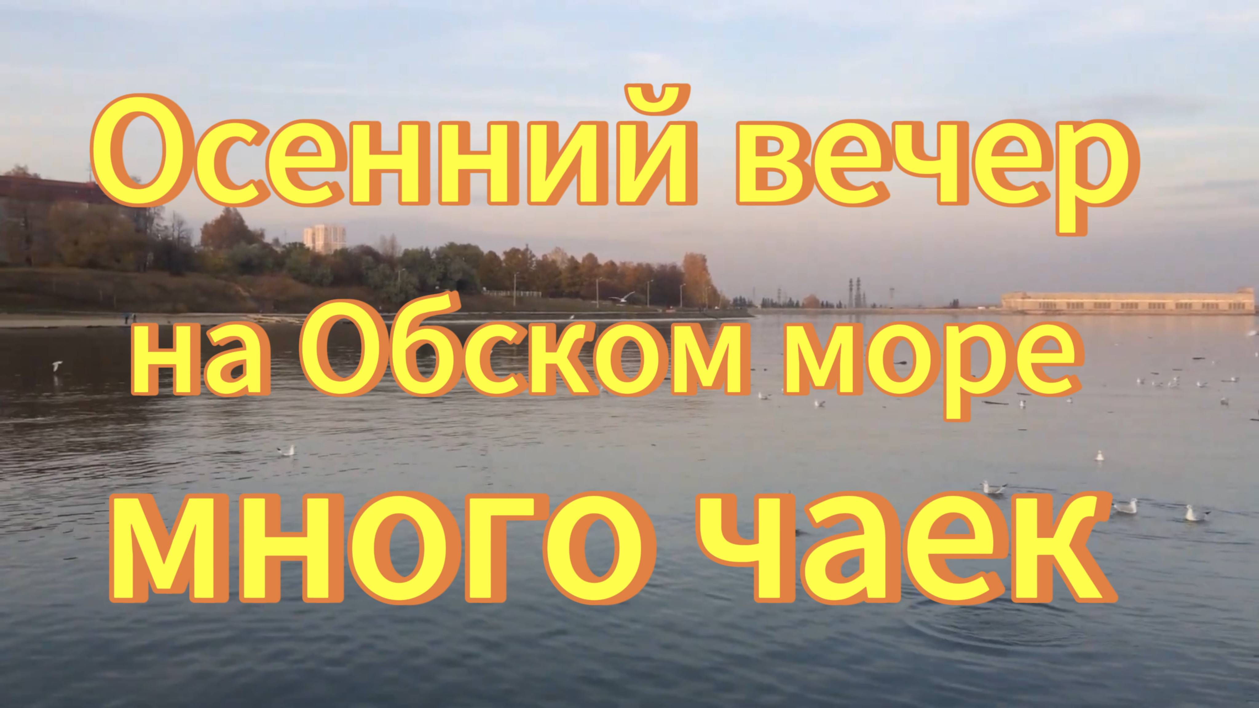 Вечер на Обском море. ОбьГЭС много чаек. Новосибирск. смотреть онлайн