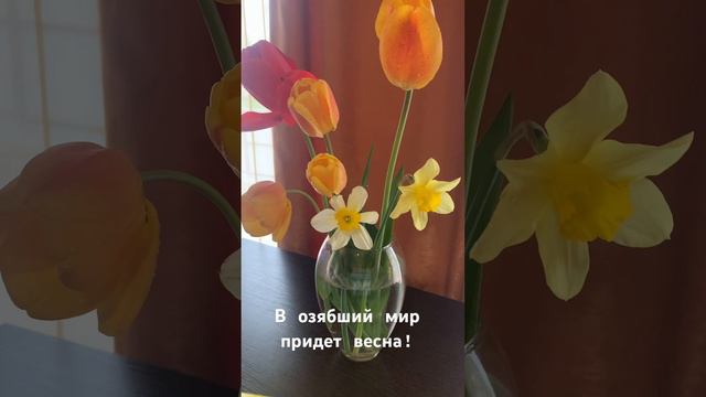 Пробуждение…. смотреть онлайн