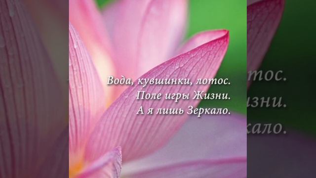 Поле игры жизни