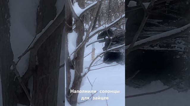 Зайцы тоже хотят есть! смотреть онлайн