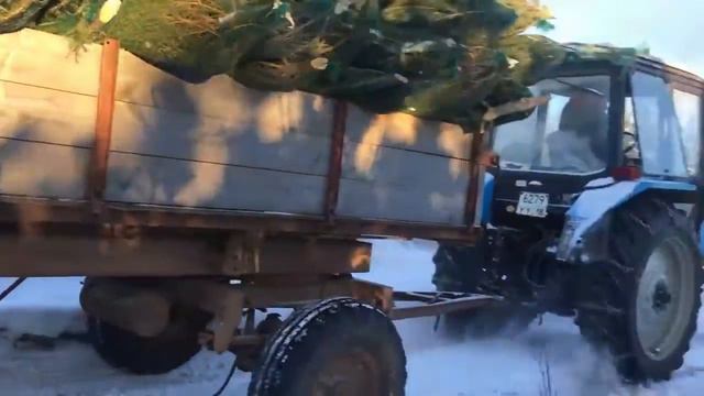 Буксировка трактора Беларус с новогодними елочками на УАЗ Патриот смотреть онлайн