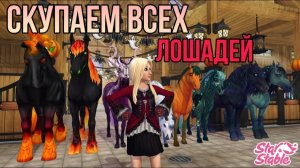 ПОКУПАЕМ ВСЕХ ХЭЛЛОУИНСКИХ ЛОШАДЕЙ В Star Stable Online!