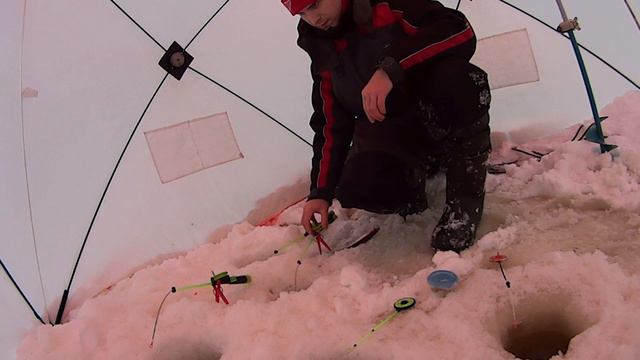 Зимняя рыбалка. Рыбалка мечты. Сиг