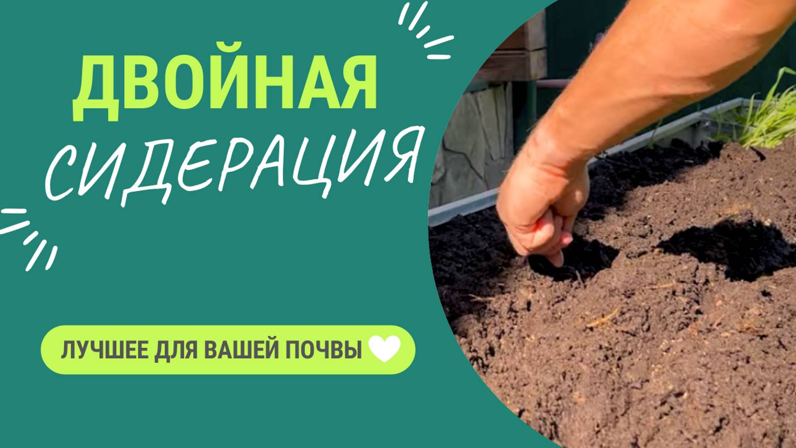 Двойная сидерация - нет ничего лучше для плодородия почвы 👍 смотреть онлайн