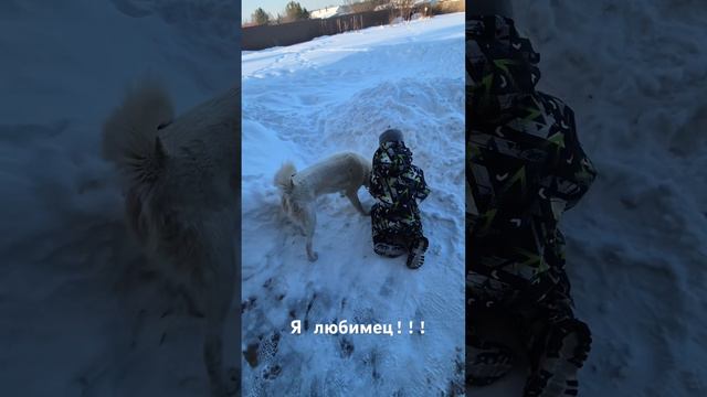 Что происходит? Да меня все любят! смотреть онлайн