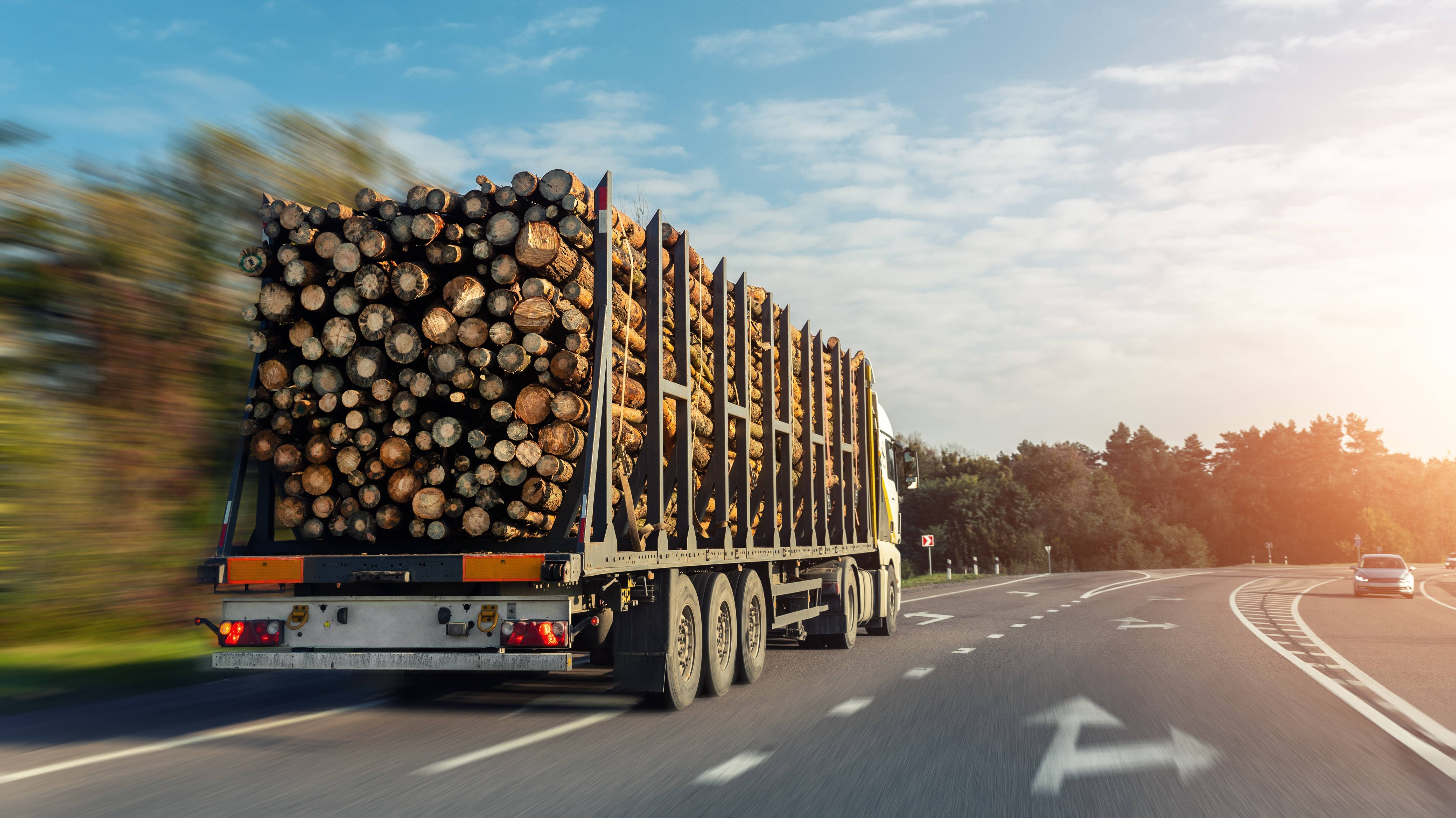 LaseTVM-3D-L - Truck Volume Measurement (Log)