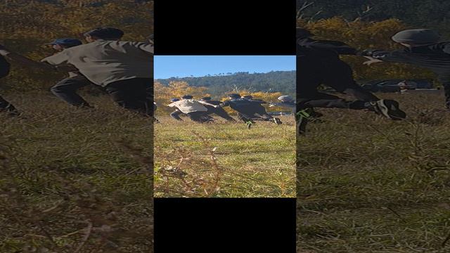 Забег лесенкой смотреть онлайн