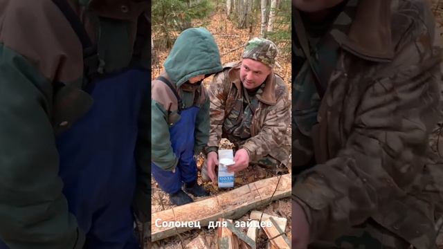 Зайцам понравится! смотреть онлайн