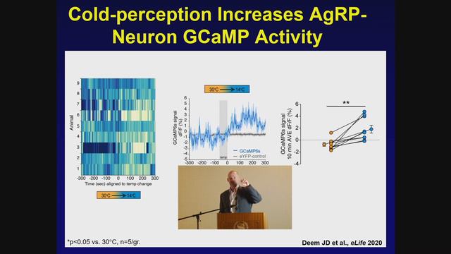 Obesity, Diabetes and the Brain смотреть онлайн