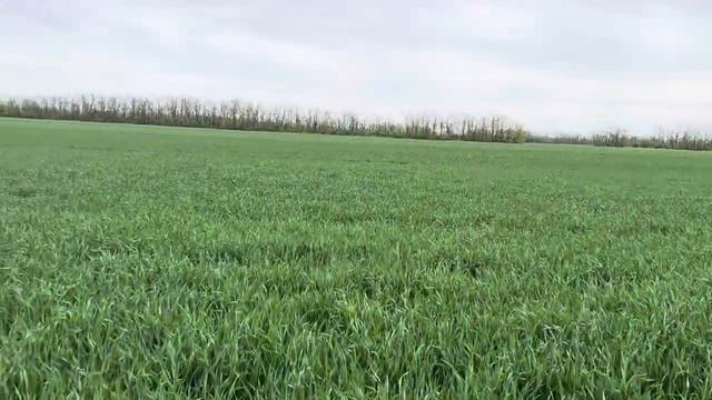 Таня 80кг/га 2млн смотреть онлайн