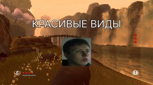 КРАСИВЫЕ ВИДЫ - MINI NINJAS #3