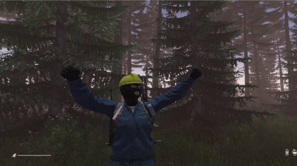 Продолжаем DAIZ